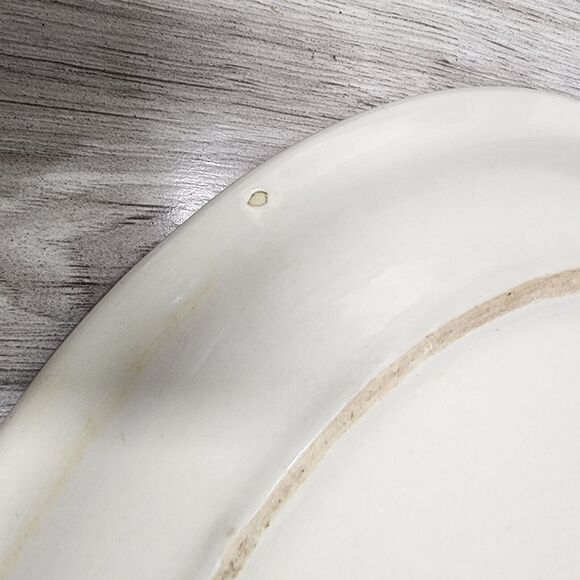 World Ultima Oval Serving Plates Set of 2 - Picture 9 of 10